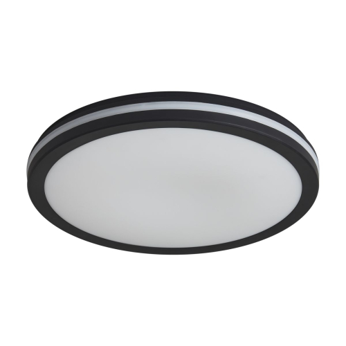 Потолочный светильник Freya Rua FR6160CL-L40B изображение в интернет-магазине Cramer Light фото 2