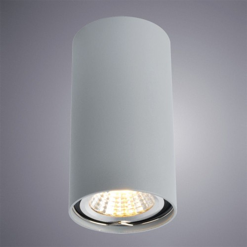 Потолочный светильник Arte Lamp A1516PL-1GY изображение в интернет-магазине Cramer Light фото 2