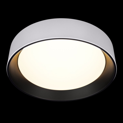 Потолочный светильник Loft IT Coin 10202 WB изображение в интернет-магазине Cramer Light фото 2