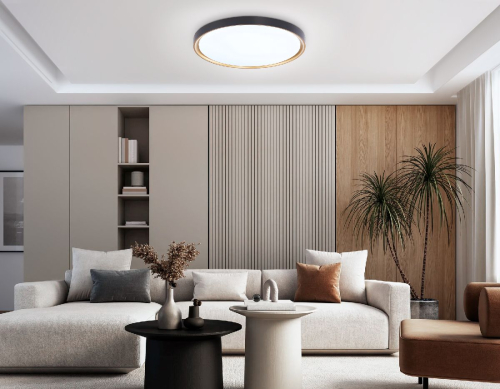 Потолочный светильник Ambrella Light Orbital Air FZ1249 изображение в интернет-магазине Cramer Light фото 3