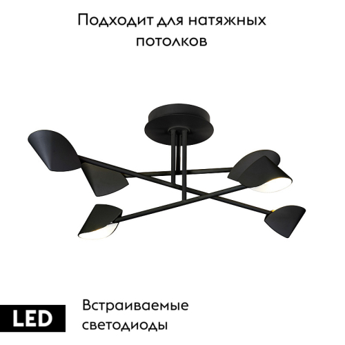 Потолочная люстра Mantra Capuccina 7581 изображение в интернет-магазине Cramer Light фото 2