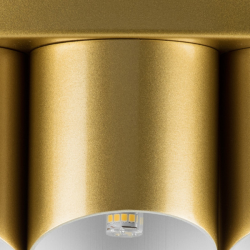 Потолочная люстра Lightstar Siena 720402 изображение в интернет-магазине Cramer Light фото 5