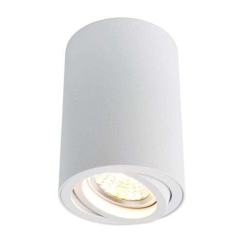 Потолочный светильник Arte Lamp A1560PL-1WH изображение в интернет-магазине Cramer Light