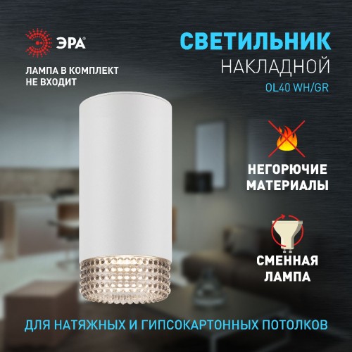 Накладной светильник Эра OL40 WH/GR Б0058478 изображение в интернет-магазине Cramer Light фото 8