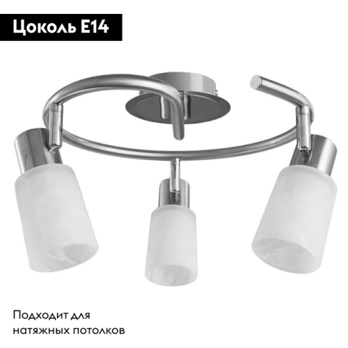 Спот Arte Lamp A4510PL-3SS изображение в интернет-магазине Cramer Light фото 2