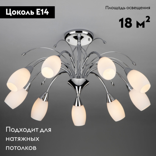 Потолочная люстра Eurosvet 22080/9 хром изображение в интернет-магазине Cramer Light фото 2