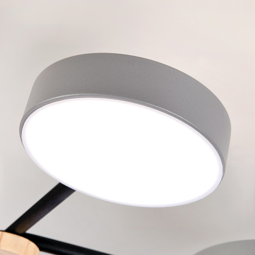 Потолочная люстра LED4U L3201-780 GR изображение в интернет-магазине Cramer Light фото 6