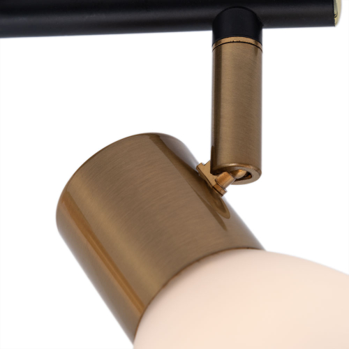 Спот Arte Lamp Falena A3117PL-2BK изображение в интернет-магазине Cramer Light фото 4