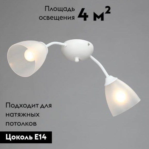 Потолочная люстра Vitaluce V3737-0/2PL изображение в интернет-магазине Cramer Light фото 2