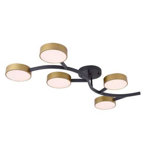 Потолочный светильник Freya Tibo FR6048CL-L10GB изображение в интернет-магазине Cramer Light фото 5