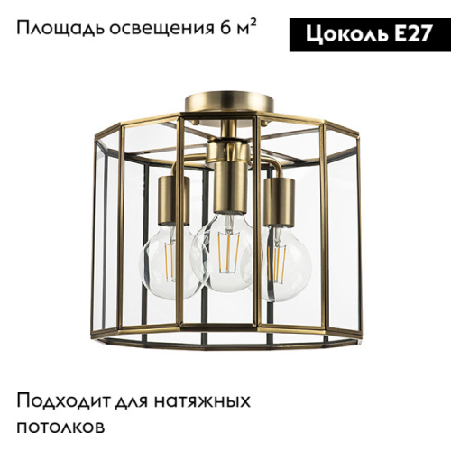 Потолочная люстра Lightstar Genni 798231 изображение в интернет-магазине Cramer Light фото 2