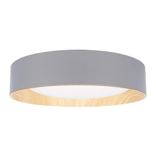Потолочный светильник Loft IT Coin 10202 Grey изображение в интернет-магазине Cramer Light фото 2