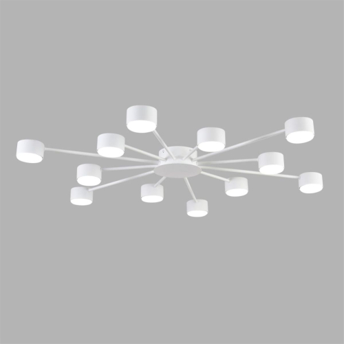 Потолочная люстра Lumion Comfi Torina 8343/12C изображение в интернет-магазине Cramer Light фото 4