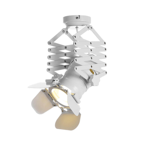 Спот LOFT IT Cinema Loft3096-M изображение в интернет-магазине Cramer Light фото 3