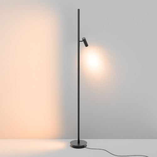 Торшер Maytoni Thin MOD395FL-L28B3K изображение в интернет-магазине Cramer Light фото 7