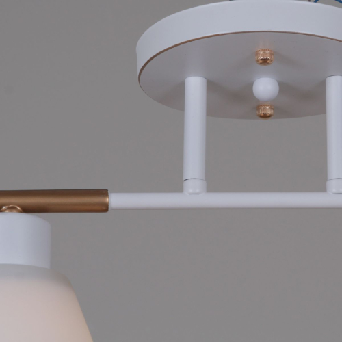 Потолочный светильник Reluce 07594-0.3-02 WG изображение в интернет-магазине Cramer Light фото 4