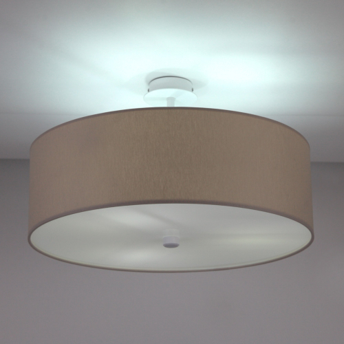 Потолочный светильник LightHall Viviana 50 LH022004 изображение в интернет-магазине Cramer Light фото 2