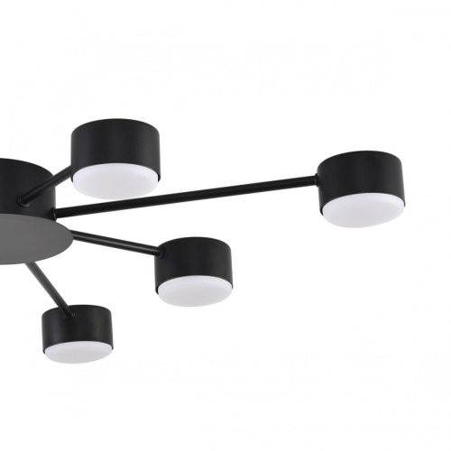Потолочная люстра Lumion Comfi Torina 8344/8C изображение в интернет-магазине Cramer Light фото 6