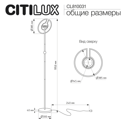 Торшер Citilux Loong CL810031 изображение в интернет-магазине Cramer Light фото 16