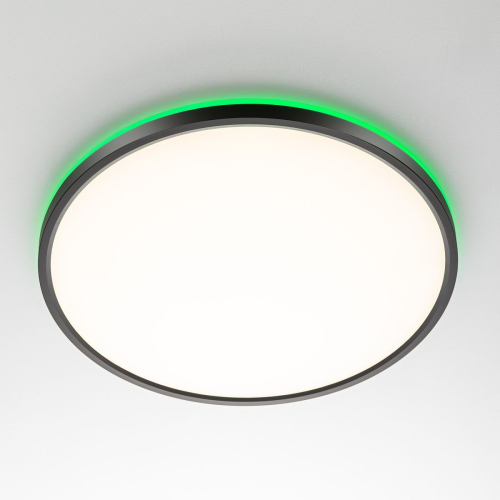 Потолочный светильник Citilux Norma CL749401 изображение в интернет-магазине Cramer Light