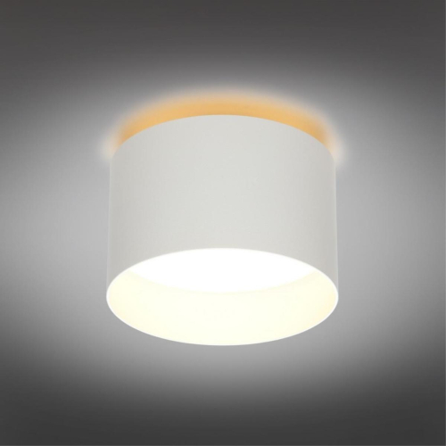 Накладной светильник Omnilux Stezzano OML-100419-16 изображение в интернет-магазине Cramer Light фото 2