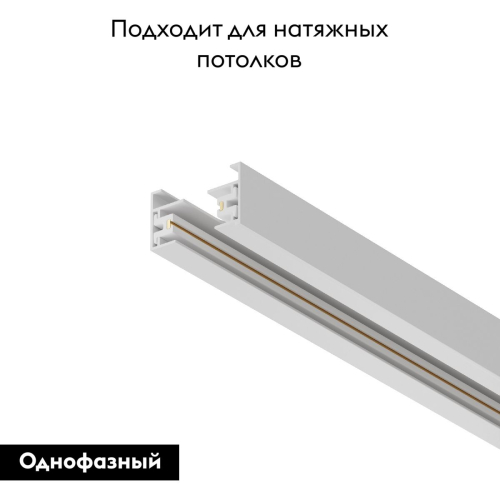 Шинопровод однофазный Maytoni Technical Busbar trunkings TRX001-113W изображение в интернет-магазине Cramer Light фото 2