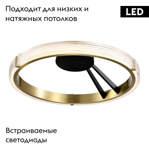 Потолочная люстра Lightstar Rotonda 736041 изображение в интернет-магазине Cramer Light фото 2