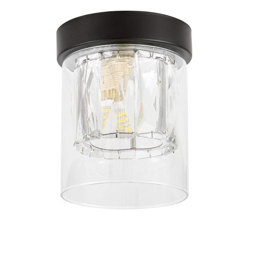 Накладной светильник Lampit Deni TC 2020-1 BK изображение в интернет-магазине Cramer Light