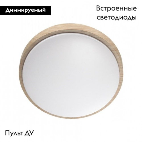 Настенно-потолочный светильник Sonex Losta 7607/EL изображение в интернет-магазине Cramer Light фото 2