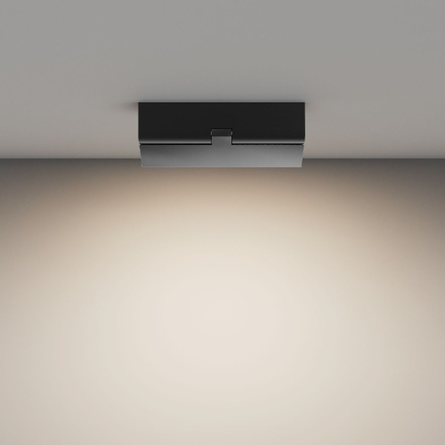 Потолочный светильник Maytoni Basis Rot C133CL-12W4K-B изображение в интернет-магазине Cramer Light фото 4