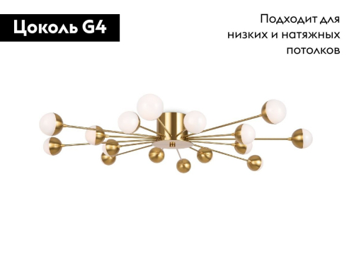 Потолочная люстра Freya Celebrity FR5242CL-16BS изображение в интернет-магазине Cramer Light фото 2