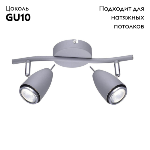 Спот Arte Lamp Regista A1966AP-2GY изображение в интернет-магазине Cramer Light фото 2