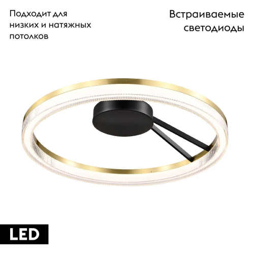 Потолочная люстра Lightstar Rotonda 736040 изображение в интернет-магазине Cramer Light фото 2