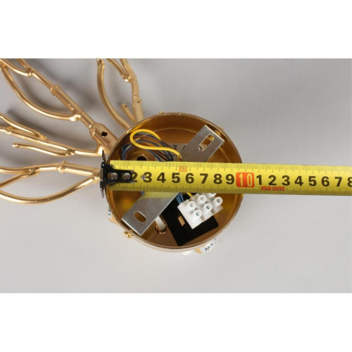 Настенный светильник  Aployt Gertunia APL.847.01.03 изображение в интернет-магазине Cramer Light фото 10