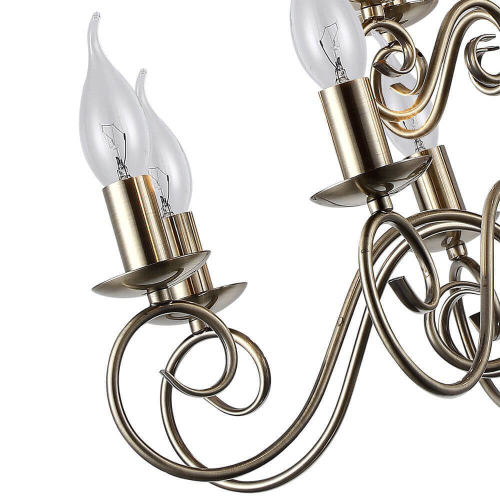 Подвесная люстра Arte Lamp A1129LM-12AB изображение в интернет-магазине Cramer Light фото 3