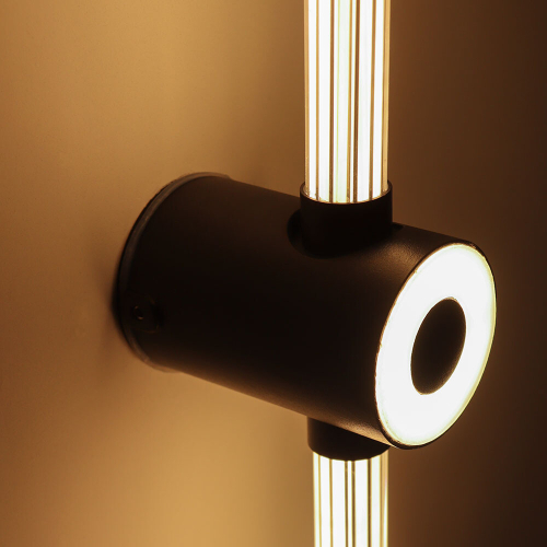 Настенный светильник Arte Lamp Atmos A3616AL-1BK изображение в интернет-магазине Cramer Light фото 4