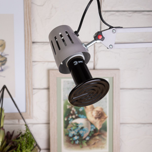 Инфракрасная лампа Эра FITO-200W-НQ Б0059885 изображение в интернет-магазине Cramer Light фото 8