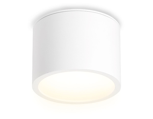 Накладной светильник Ambrella Light IP Protect TN6550 изображение в интернет-магазине Cramer Light