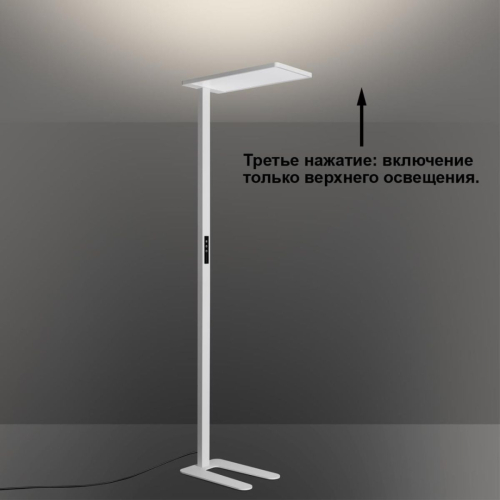 Торшер Novotech Ledo Studi 359545 изображение в интернет-магазине Cramer Light фото 2