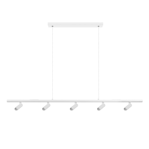Подвесной светильник Loft IT Sign 10260/5 White изображение в интернет-магазине Cramer Light