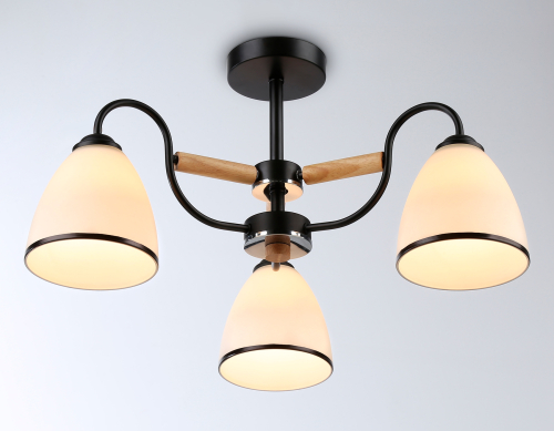 Люстра на штанге Ambrella Light Modern TR3033241 изображение в интернет-магазине Cramer Light фото 2