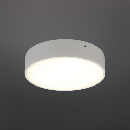 Потолочный светильник Aployt Evon APL.0113.09.18 изображение в интернет-магазине Cramer Light фото 2