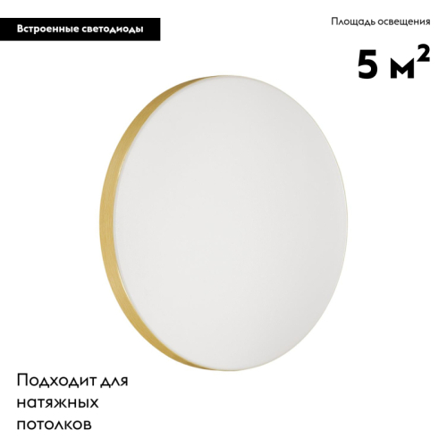 Настенно-потолочный светильник Sonex Smalli 3066/AL изображение в интернет-магазине Cramer Light фото 2