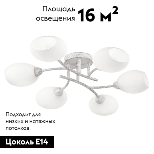 Потолочная люстра Citilux Флорида CL148160 изображение в интернет-магазине Cramer Light фото 2