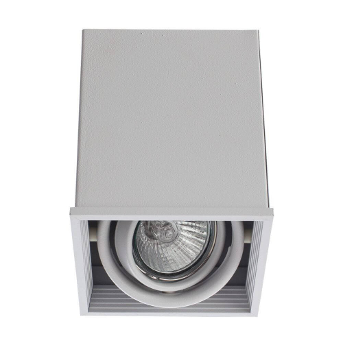 Потолочный светильник Arte Lamp Cardani A5942PL-1WH изображение в интернет-магазине Cramer Light фото 6