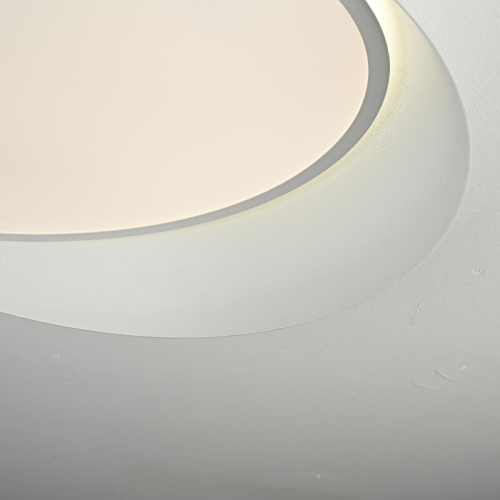 Потолочный светильник ImperiumLoft Shell 102036-26 изображение в интернет-магазине Cramer Light фото 9