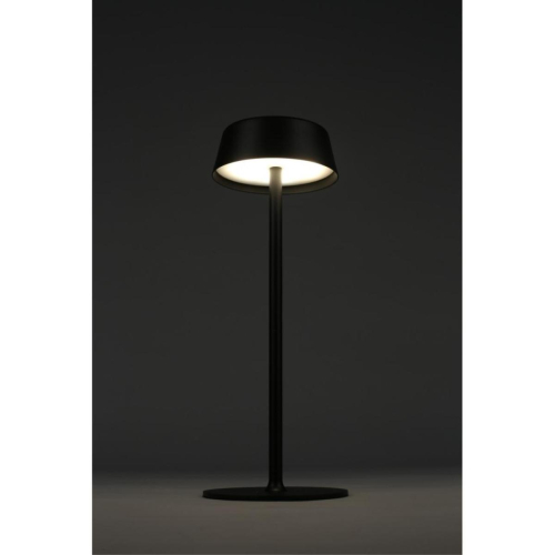 Настольная лампа Omnilux OML-40504-01 изображение в интернет-магазине Cramer Light фото 9