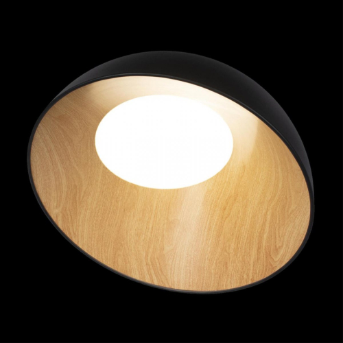 Потолочный светильник Loft IT Egg 10197/500 Black изображение в интернет-магазине Cramer Light фото 4