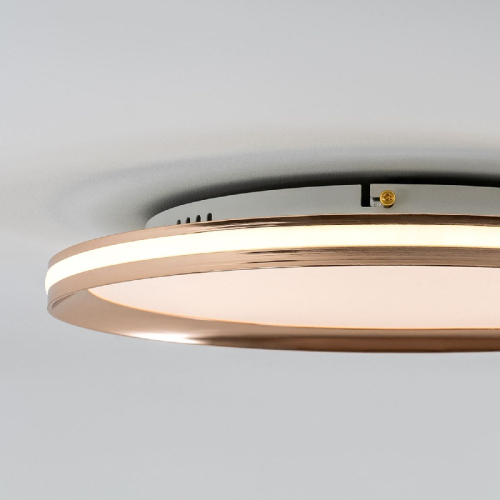 Потолочный светильник LED4U L3020-400 GD изображение в интернет-магазине Cramer Light фото 6