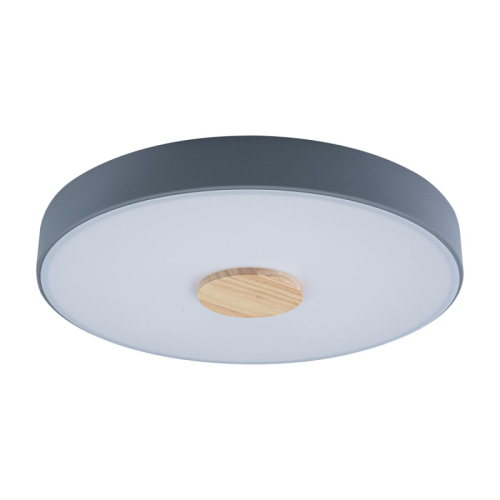 Потолочный светильник Loft IT AXEL 10003/24 Grey изображение в интернет-магазине Cramer Light